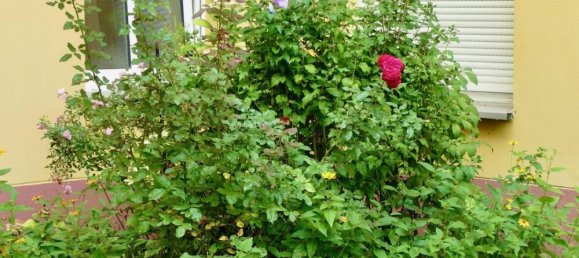 1 bedroom Apartment in Friedrichshain, Germany No. 23610 9