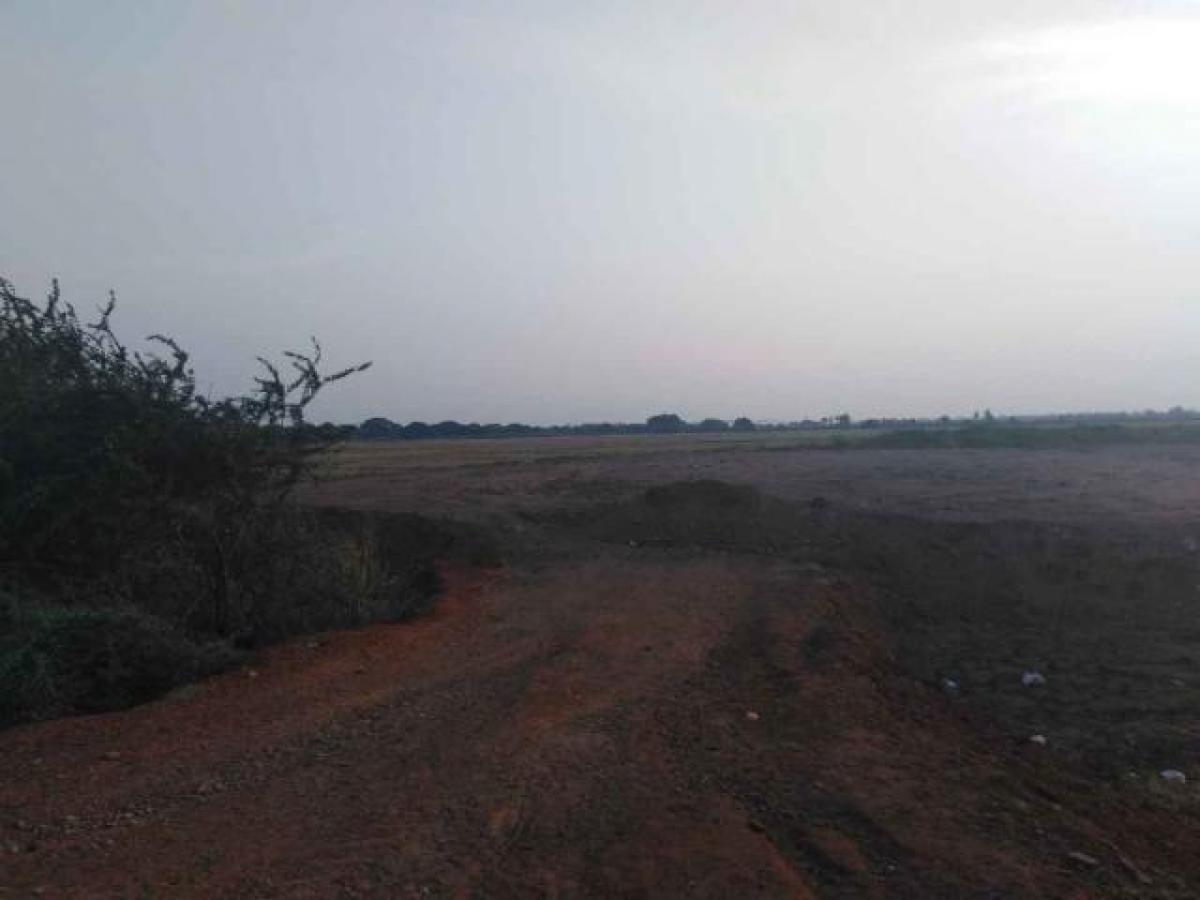 Земельный участок в Тирунелвели, Индия № 34686