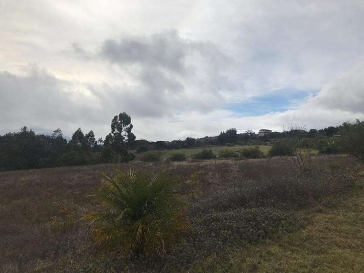 Terrain à Cartago, Costa Rica No. 1559