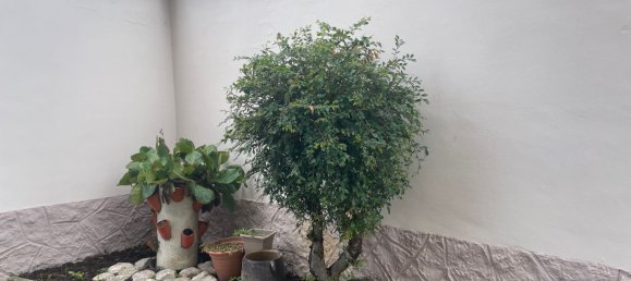 Apartamento de 4 habitaciónes en Chieri, Italy No. 276006 18