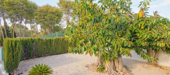 Вилла с 6 спальнями в Дения, Испания № 13049 25