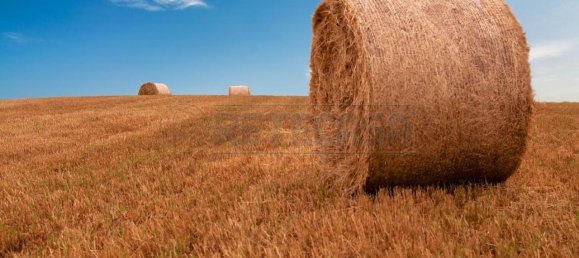 4-Zimmer Grundstück in Cadoneghe, Italy, Nr. 67097 12