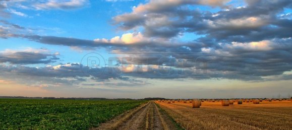 4-Zimmer Grundstück in Cadoneghe, Italy, Nr. 67097 7