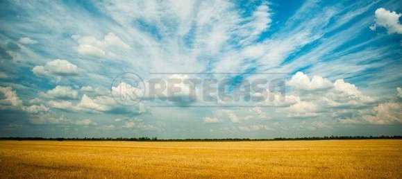 4-Zimmer Grundstück in Cadoneghe, Italy, Nr. 67097 10