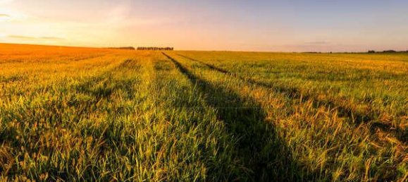 4-Zimmer Grundstück in Cadoneghe, Italy, Nr. 67097 9