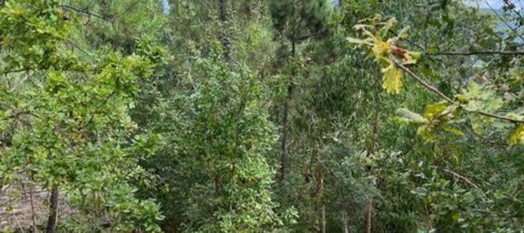 1 غرف نوم منزل في Rio Caldo, Portugal رقم 175926 4