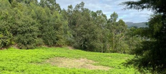 1 غرف نوم منزل في Rio Caldo, Portugal رقم 175926 6