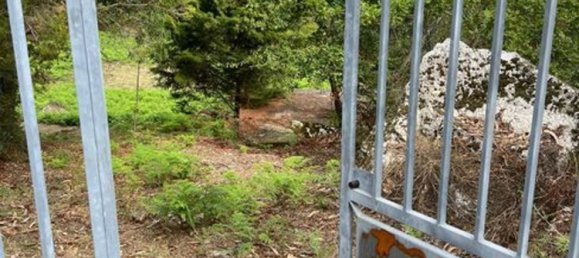 1 غرف نوم منزل في Rio Caldo, Portugal رقم 175926 2