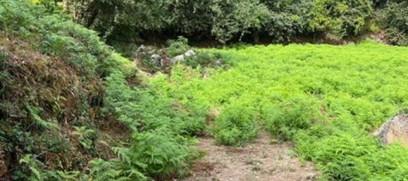 1 غرف نوم منزل في Rio Caldo, Portugal رقم 175926 8