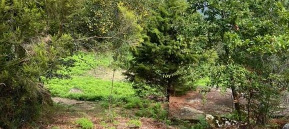 1 غرف نوم منزل في Rio Caldo, Portugal رقم 175926 12