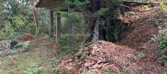 1 غرف نوم منزل في Rio Caldo, Portugal رقم 175926 7