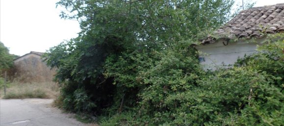 7000m² Hotel in Corfu, Greece No. 5639 3