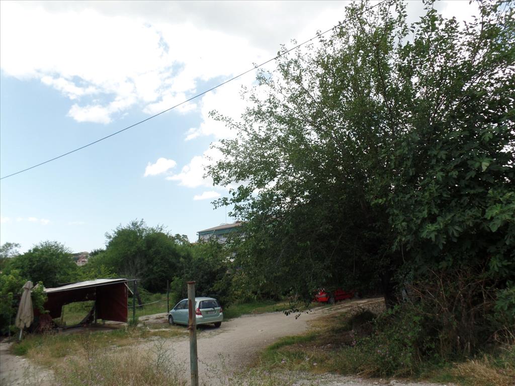 7000m² Hotel in Corfu, Greece No. 5639