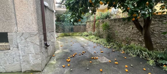 2 rooms Apartment in Spotorno, Italy No. 8724 8