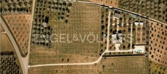 6 bedrooms Villa in Torchiarolo, Italy No. 61297 8