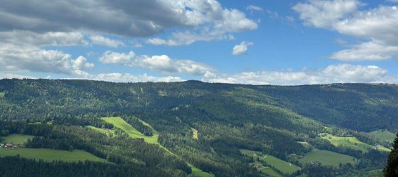 5غرفة منزل في Hirschegg-Pack, Austria رقم 176535 7