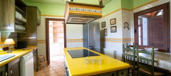 468m² House in San Miguel de Salinas, Spain No. 283436 4