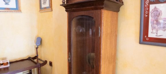 468m² House in San Miguel de Salinas, Spain No. 283436 13