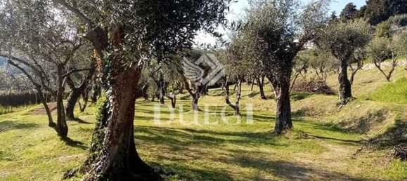 Terreno em Massarosa, Italy 2000 m² N.º 128739 11