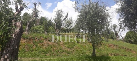 Terreno em Massarosa, Italy 2000 m² N.º 128739 9