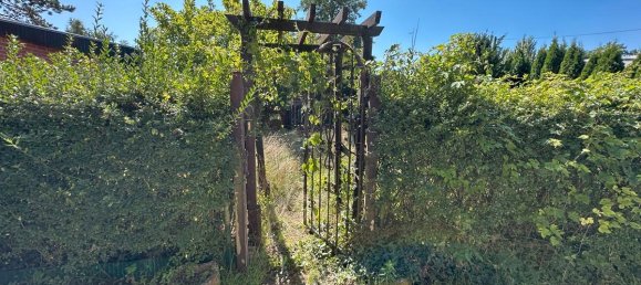 2غرفة منزل في Anhalt-Bitterfeld, Germany رقم 287414 10