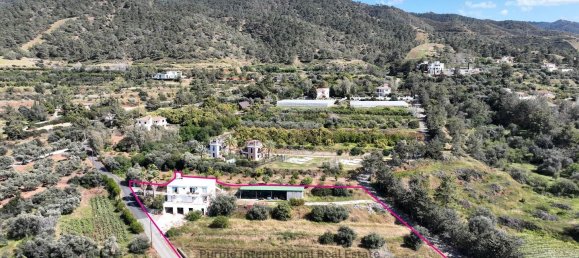 4 bedrooms Villa in Nea Dimmata, Cyprus No. 22170 4