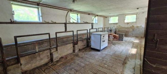 5-Zimmer Haus in Neudau, Austria, Nr. 248258 21