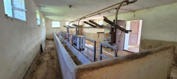 5-Zimmer Haus in Neudau, Austria, Nr. 248258 22