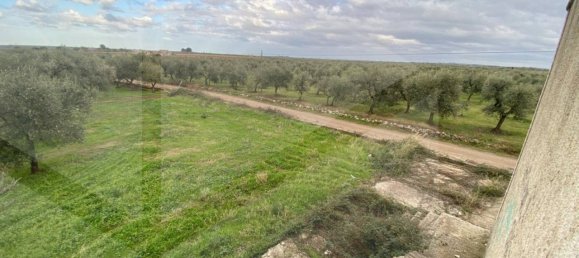 6-Zimmer Haus in Bitonto, Italy, Nr. 22263 4