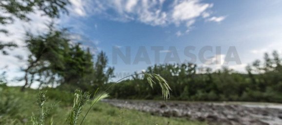 12 غرف نوم منزل في Pelago, Italy رقم 199610 23