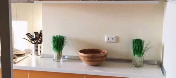 1 chambre Condo à Life @ Sukhumvit 65 Railay Beach, Thailand No. 30933 12