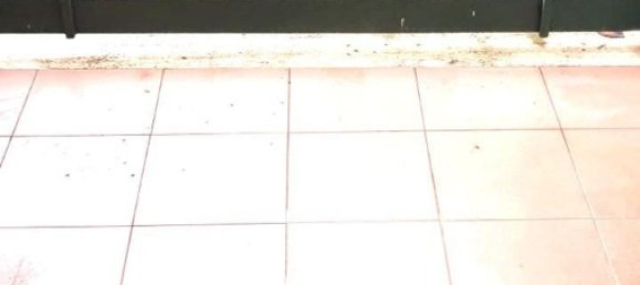 7 rooms Apartment in Livorno, Italy No. 103706 30