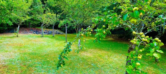 5 rooms Villa in Corte Brugnatella, Italy No. 269729 21