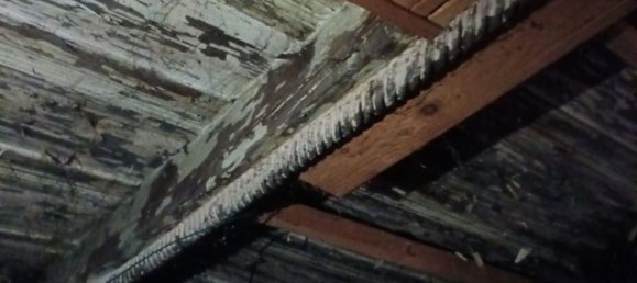 30-Zimmer Haus in Terzolas, Italy, Nr. 203751 25