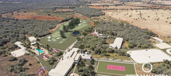 10 chambres Terrain à Campos, Spain No. 46276 8