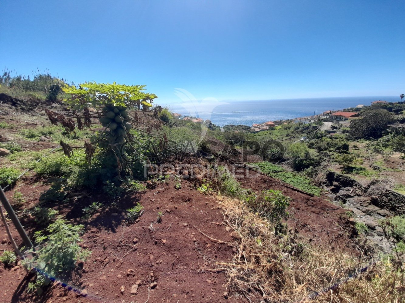 Terreno en Quarteira, Portugal No. 197199