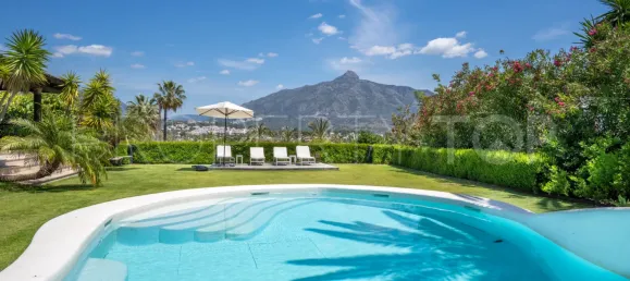 4 bedrooms Villa in Marbella, Spain No. 187720 12