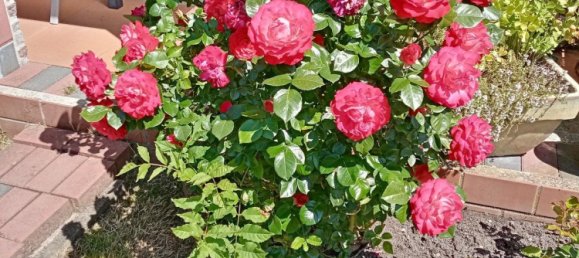  Land in Bremen, Germany No. 262739 6