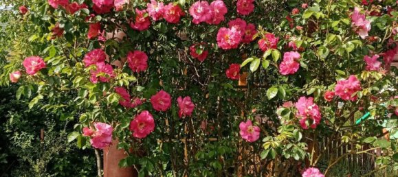  Land in Bremen, Germany No. 262739 5