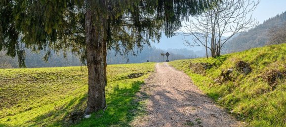 8 rooms House in Schio, Italy No. 58814 8