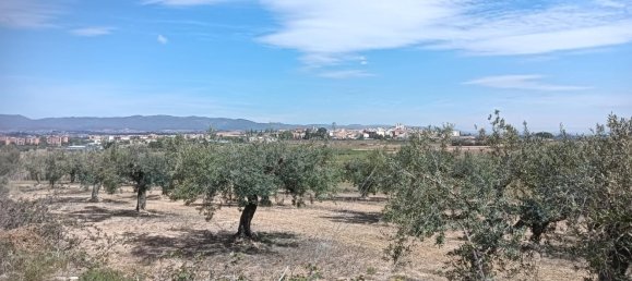 19716m² Land in L'Arboc, Spain No. 161022 5