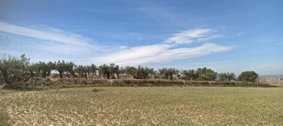 19716m² Land in L'Arboc, Spain No. 161022 9