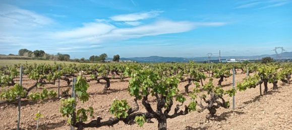 19716m² Land in L'Arboc, Spain No. 161022 2