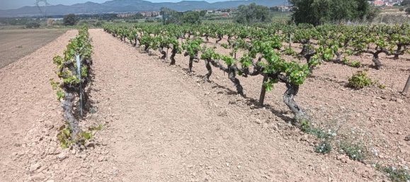 19716m² Land in L'Arboc, Spain No. 161022 17