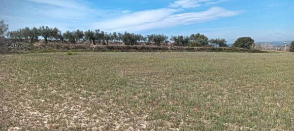19716m² Land in L'Arboc, Spain No. 161022 7