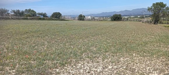 19716m² Land in L'Arboc, Spain No. 161022 13