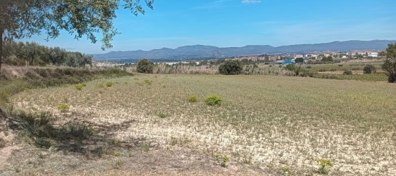 19716m² Land in L'Arboc, Spain No. 161022 8