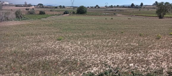 19716m² Land in L'Arboc, Spain No. 161022 14