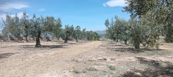 19716m² Land in L'Arboc, Spain No. 161022 3