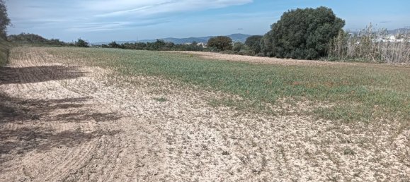 19716m² Land in L'Arboc, Spain No. 161022 12